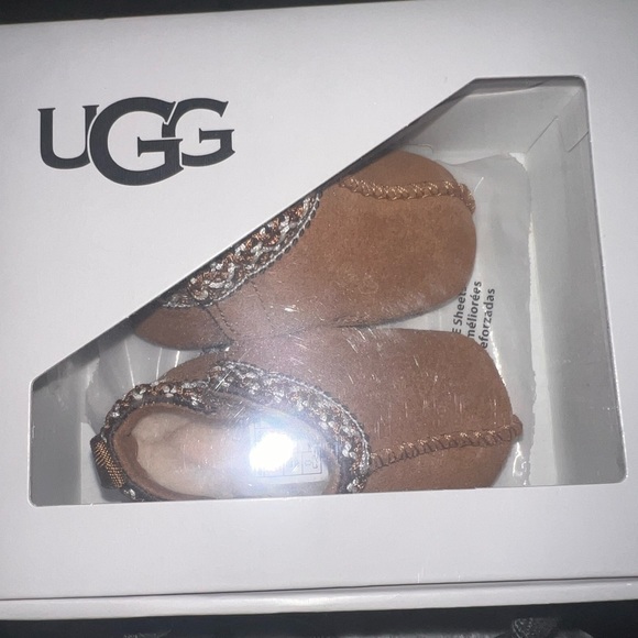 BABY TASMAN (Chestnut ) - Picture 1 of 5